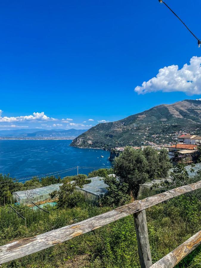Antica Tenuta Celotto Вико-Экуенсе Экстерьер фото