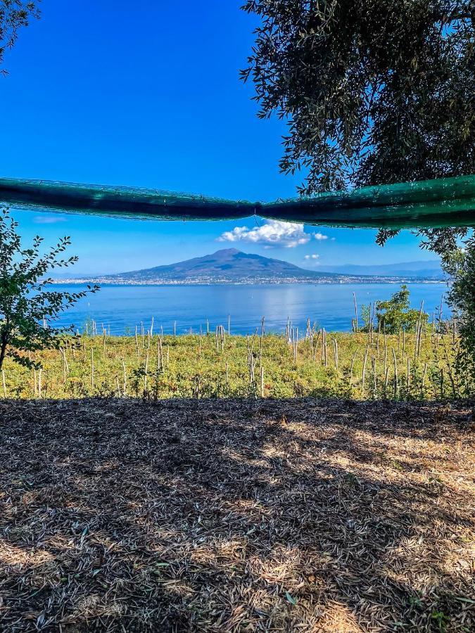 Antica Tenuta Celotto Вико-Экуенсе Экстерьер фото